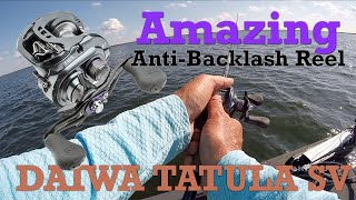 Oil amp maintain Daiwa baitcasting reel [upl. by Nwaf257]