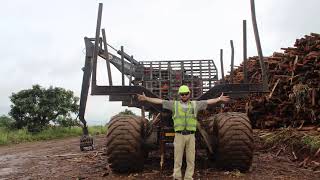 New TimberPro harvester amp forwarder in SA [upl. by Abby104]