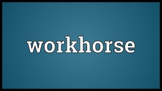 Workhorse Meaning [upl. by Onaicilef]