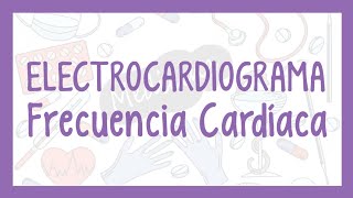 ¿Cómo calcular la FRECUENCIA CARDÍACA en el ELECTROCARDIOGRAMA  ¡Fácil explicación [upl. by Willa]