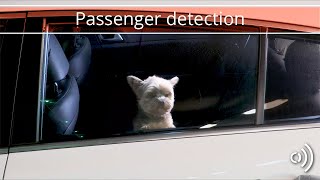 Passenger detection [upl. by Schweiker]