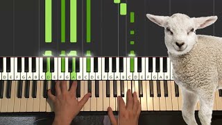 Brockhampton  Lamb Piano Tutorial Lesson [upl. by Coulter]