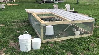 Chicken tractor for 30 meat birds [upl. by Ezequiel]