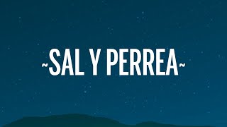 Sech  Sal y Perrea LetraLyrics [upl. by Orhtej]