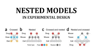 Nested Design in Experimental design Theory Example and calculations step by step [upl. by Anined246]