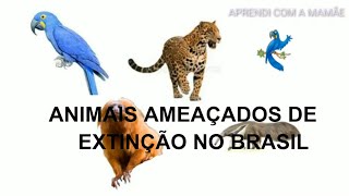 ANIMAIS AMEAÇADOS DE EXTINÇÃO 1 ano fundamentaleducação infantil [upl. by Noguchi]