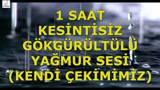 1 Saatlik Kesintisiz Gök gürültülü Yağmur Sesi  Listen to Rain Sound  Kendi Çekimimiz [upl. by Sophy]