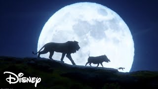 El Rey León Live Action 2019  Hakuna Matata Carlos Rivera [upl. by Alyaj]