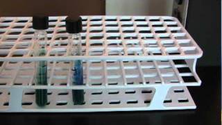 BIO 2192 UNIT 8  Citrate Test [upl. by Dominic]