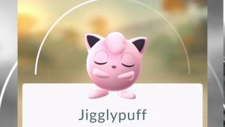 Jigglypuff from Pokemon Go [upl. by Sivar]