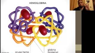 Química Biológica  Hemoglobina [upl. by Noslrac]