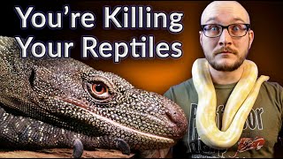 Top 5 Reptiles YOU Are Keeping WRONG  Most Neglected Reptiles in 2021 [upl. by Callean]