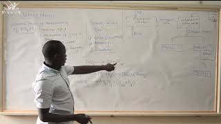 Chemistry SOLVAY PROCESS by Mr Ramadhan from The Nubian University Students Organization NUSO [upl. by Darcy]