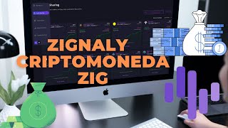 Zignaly ZIG  Conociendo zignaly y su criptomoneda [upl. by Chandler253]