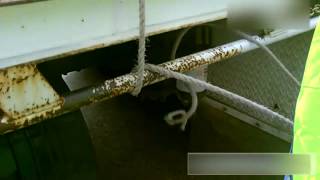 How to Tie Rope Knots Truckies Hitch and Truckies Shank [upl. by Neesay652]