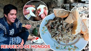 ASÍ PREPARO un DELICIOSO REVUELTO de HONGOS  COMIDA 100 SALUDABLE [upl. by Dnana]