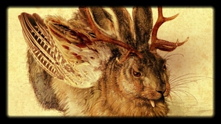 Wolpertinger German Jackalope [upl. by Leagiba]