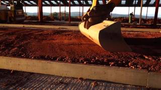 Concreting and building cubicles for the cows winter housing [upl. by Egduj]