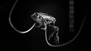 Blyer  Electric Frog Original Mix [upl. by Kamal602]