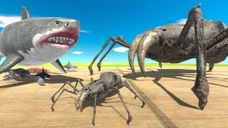 Spider is Growing VS Aquatics  Animal Revolt Battle Simulator [upl. by Yrrej923]