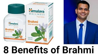 8 Main Benefits Of Brahmi best herb to increase memory and concentration [upl. by Bern]