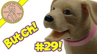 ShoutOut Time Video 29 Butch The Dog LPS Subscriber Thank You Series [upl. by Naujtna]