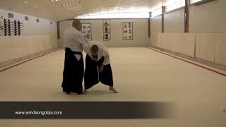 Aikido Drills Combining the 8 Releases and the 17 Basic Techniques [upl. by Amery272]