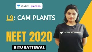 L9 CAM Plants  Photosynthesis Complete NCERT Review  NEET 2020 [upl. by Cynar]