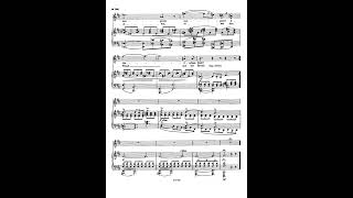 brahms 9 lieder und gesange op 32 [upl. by Rochester]