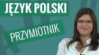 Język polski  Przymiotnik [upl. by Pammie648]