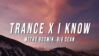 Metro Boomin Big Sean  Trance X I Know TikTok Mashup Lyrics [upl. by Nauwaj]