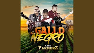 El Gallo Negro En Vivo [upl. by Weiser]