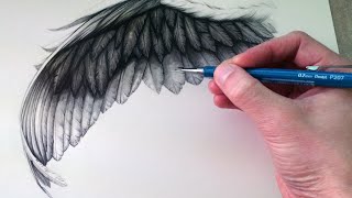 How to Draw a Wing [upl. by Iviv]