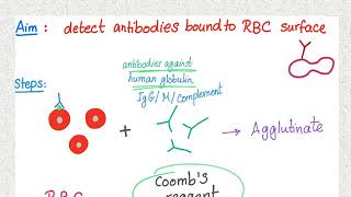 Coombs test [upl. by Duffy]