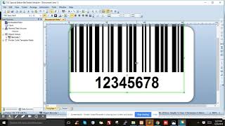 TSC TTP244 PRO BARCODE PRINTER SETUP GUIDE [upl. by Warrenne]