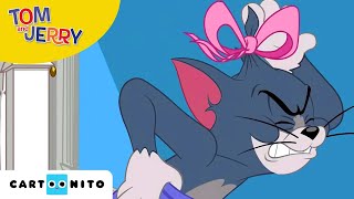 Tom and Jerry  Grappenoorlog  Cartoonito [upl. by Tannen]