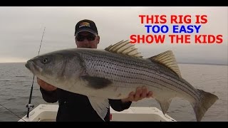 HOW TO CATCH STRIPED BASS FOR DUMMIES NO OFFENSE THE PERFECT RIG [upl. by Lenhard510]