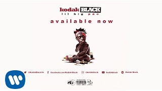 Kodak Black  Everything 1K Official Audio [upl. by Avi915]