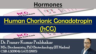 Human Chorionic Gonadotropin hCG clinicalbiochemistry pkprabhakar [upl. by Newlin]