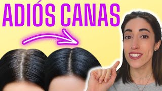 👌 ELIGE el NÚMERO de TINTE correcto para CUBRIR tus CANAS [upl. by Ecnarolf213]