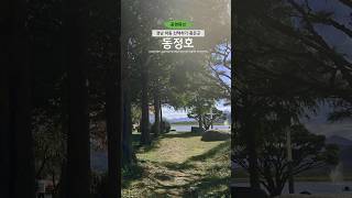 산책하기 좋은 하동 동정호 동정호 하동가볼만한곳 하동여행 domgjungho 산책 핑크뮬리 사진 사진명소 인생사진 바람 편안한 기분이좋아지는영상 [upl. by Binah678]