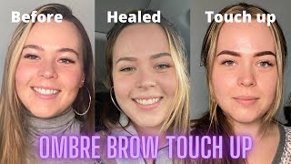 Ombre Powder Brows Healed 6 weeks  Touch up [upl. by Cowden]