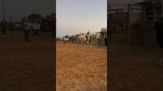 Houston TX bull riding practice [upl. by Alrahc]