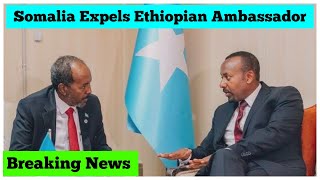 Breaking News Ethiopia Somalia Expels Ethiopian Ambassador [upl. by Nnailuj]