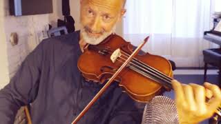 Halelujah  Leonard Cohen  violin cover [upl. by Wixted]