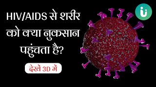 HIVAIDS से शरीर को क्या और कैसे नुकसान पहुंचता है  देखें 3D में  HIVAIDS 3D Animation in Hindi [upl. by Yejus]