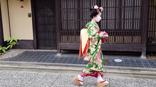 Geishaspotting  Geisha Walk in Kyoto other than the Gion District [upl. by Garratt647]