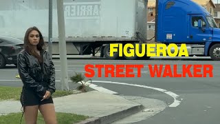 Figueroa Street Los Angeles Tour Episode 7 [upl. by Anaerda826]