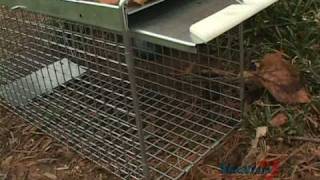 Havahart®  Easy Set® Cage Traps Instructional Video  Havahartcom [upl. by Puglia109]