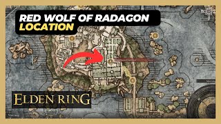 Red Wolf of Radagon Liurnia Boss Location  Elden Ring [upl. by Persis]